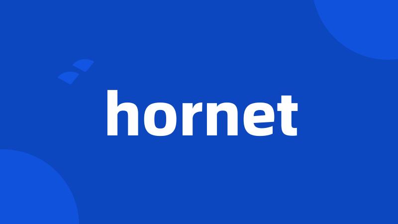 hornet