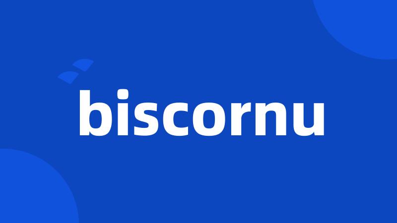 biscornu