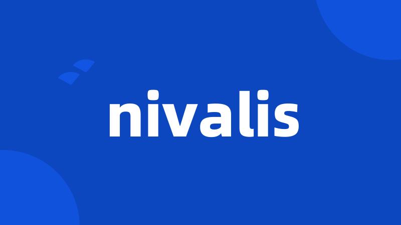 nivalis