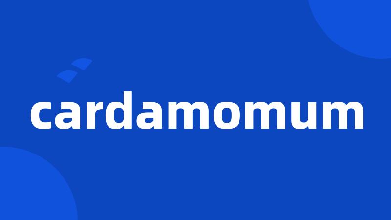 cardamomum