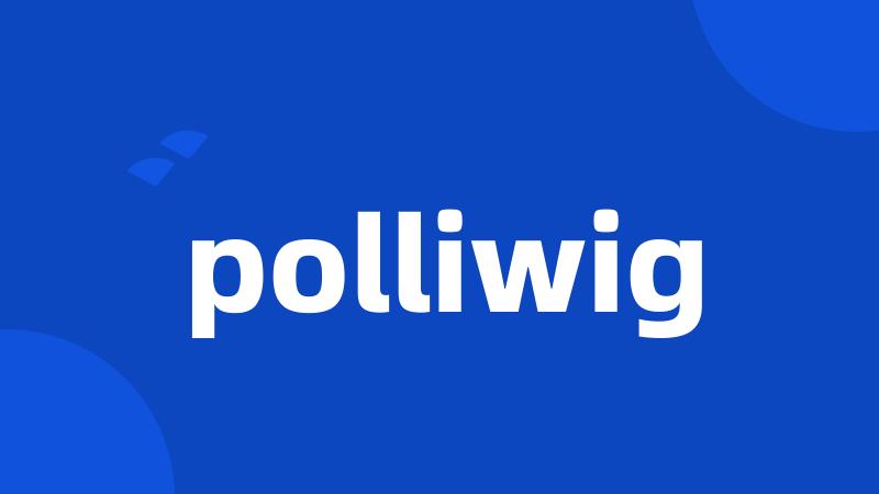 polliwig