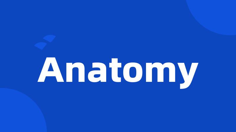 Anatomy