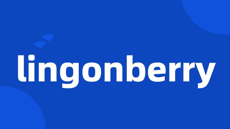 lingonberry