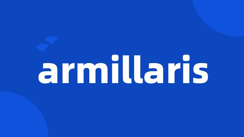 armillaris