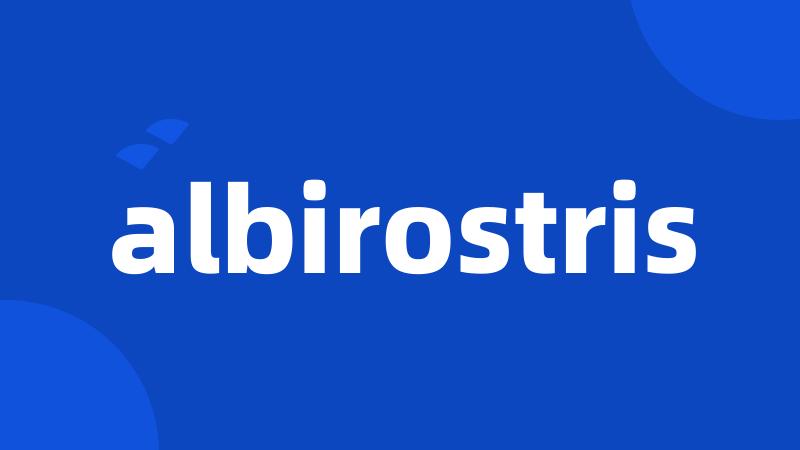 albirostris