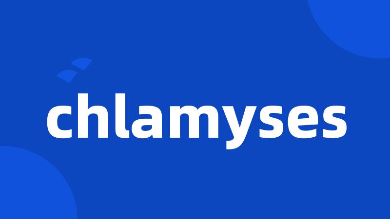 chlamyses