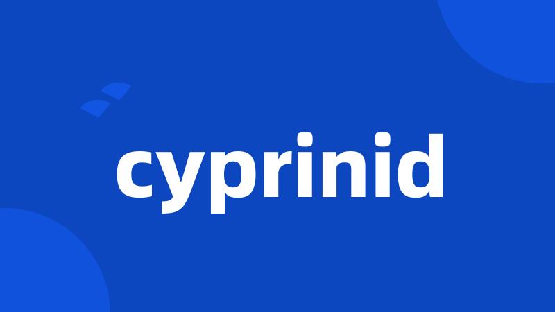 cyprinid