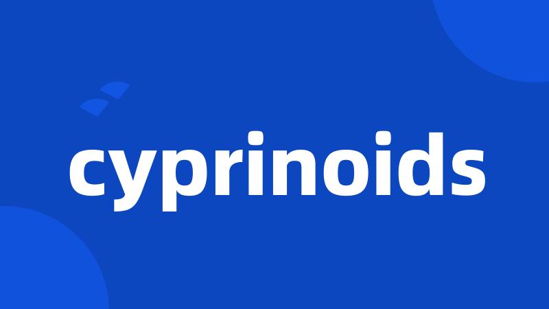 cyprinoids