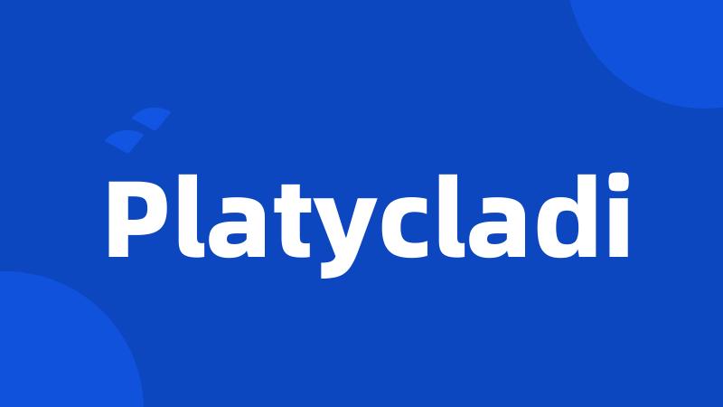 Platycladi