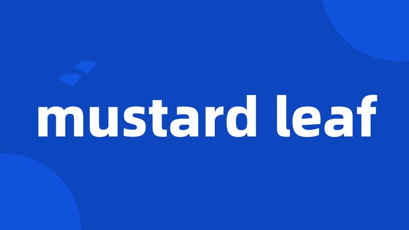 mustard leaf