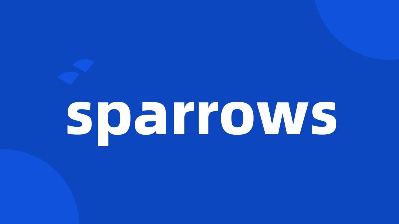 sparrows