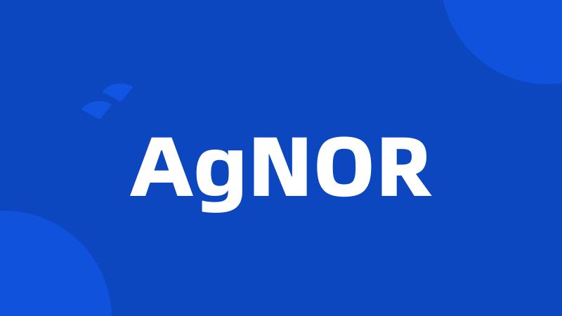 AgNOR