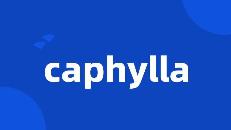 caphylla