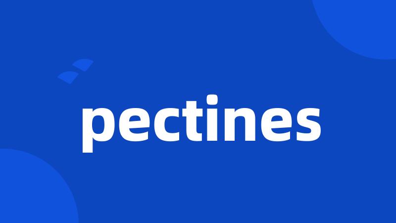 pectines