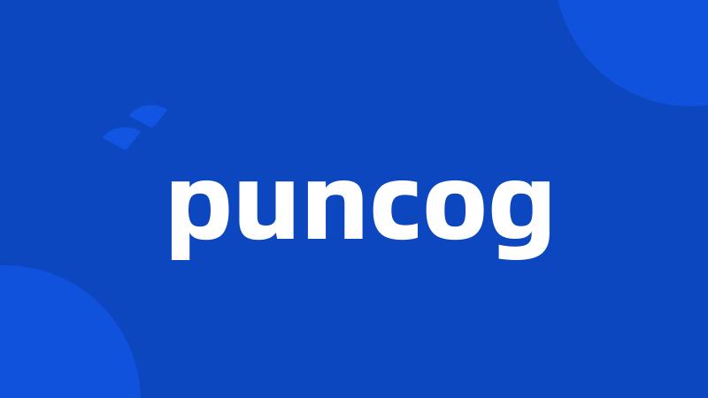 puncog