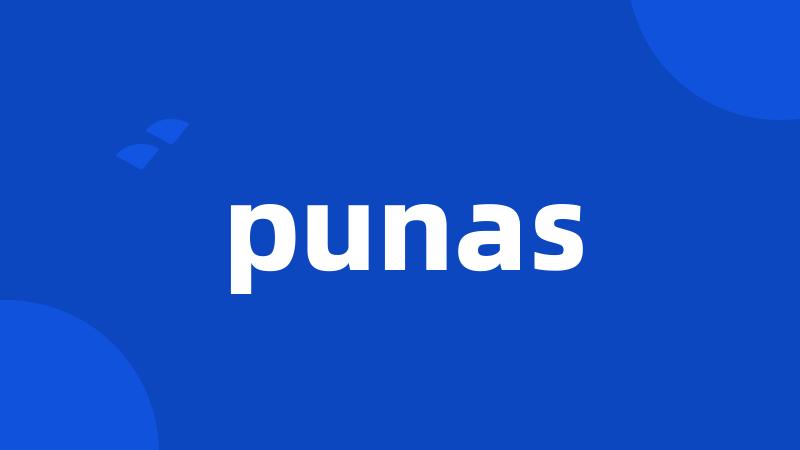 punas