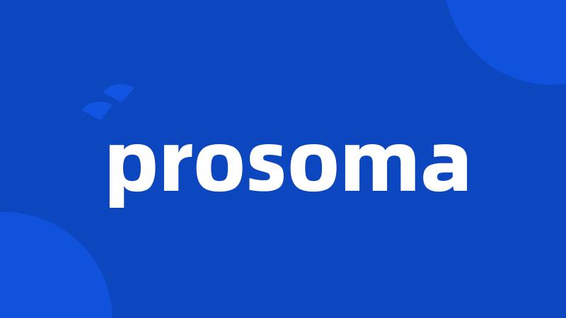 prosoma