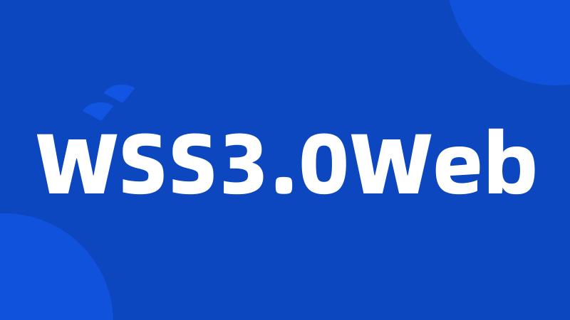 WSS3.0Web