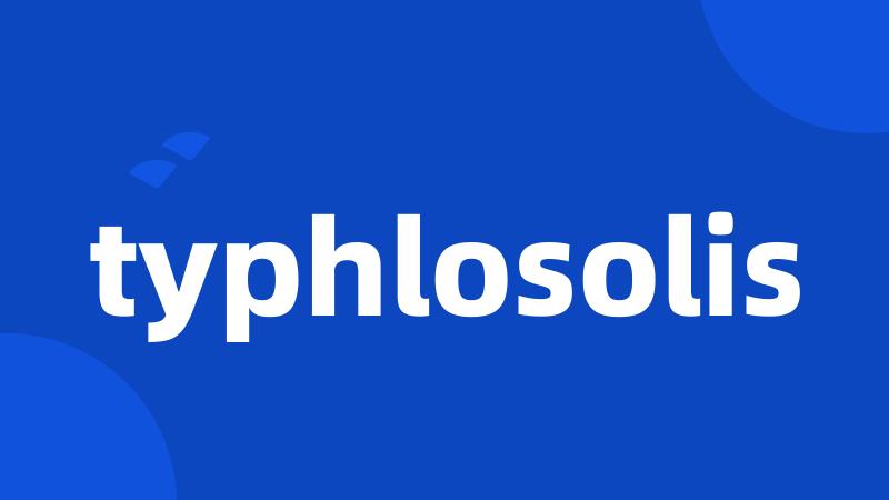 typhlosolis