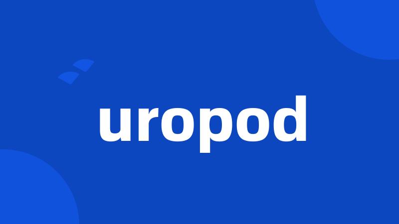 uropod