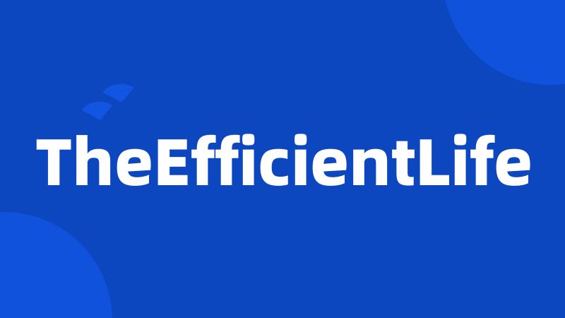 TheEfficientLife