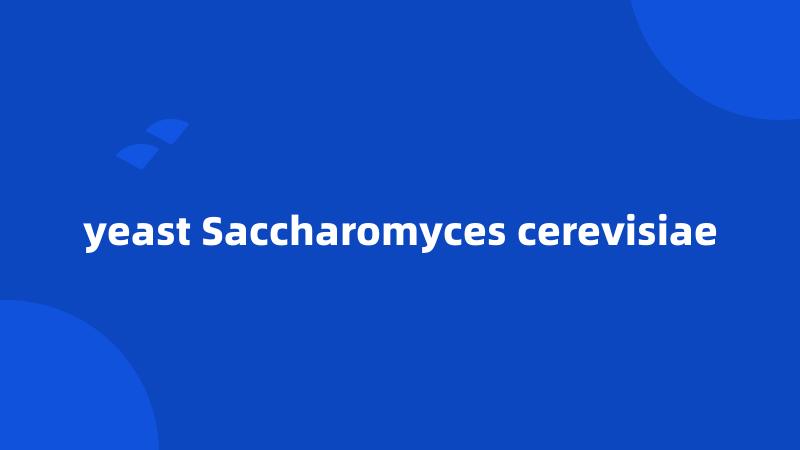 yeast Saccharomyces cerevisiae