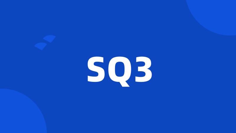 SQ3