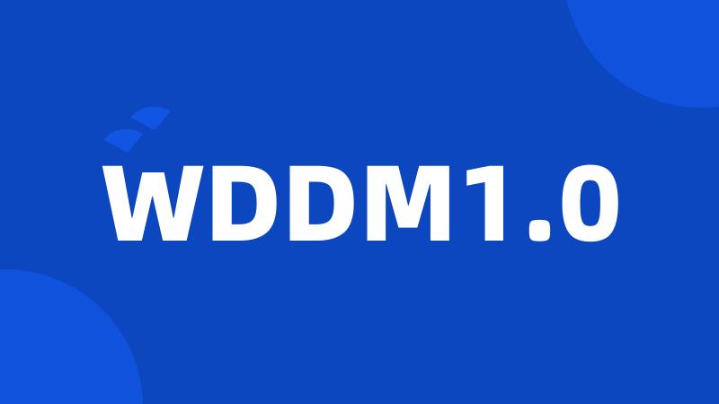 WDDM1.0