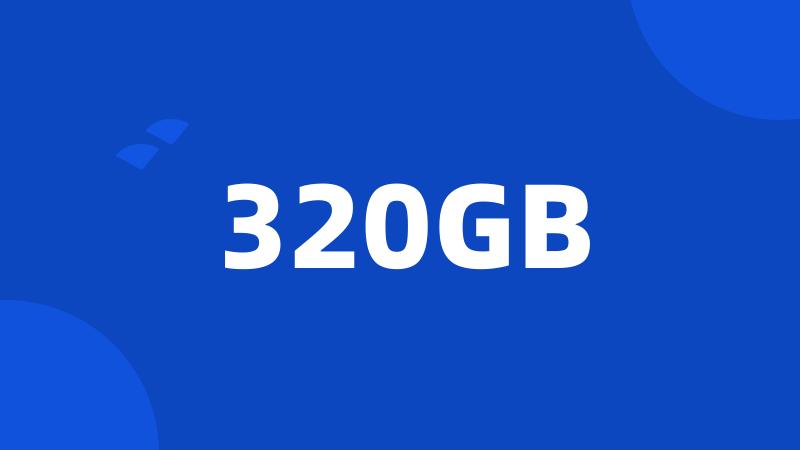 320GB