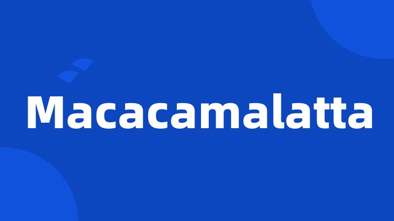 Macacamalatta