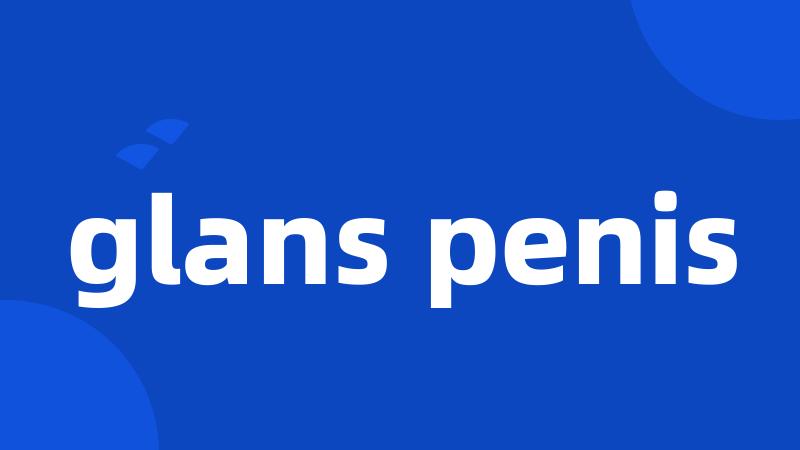 glans penis