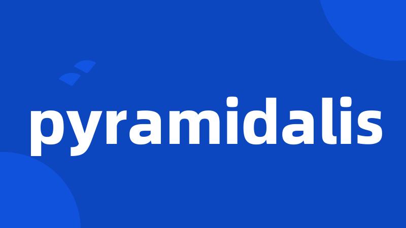 pyramidalis