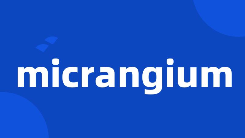 micrangium