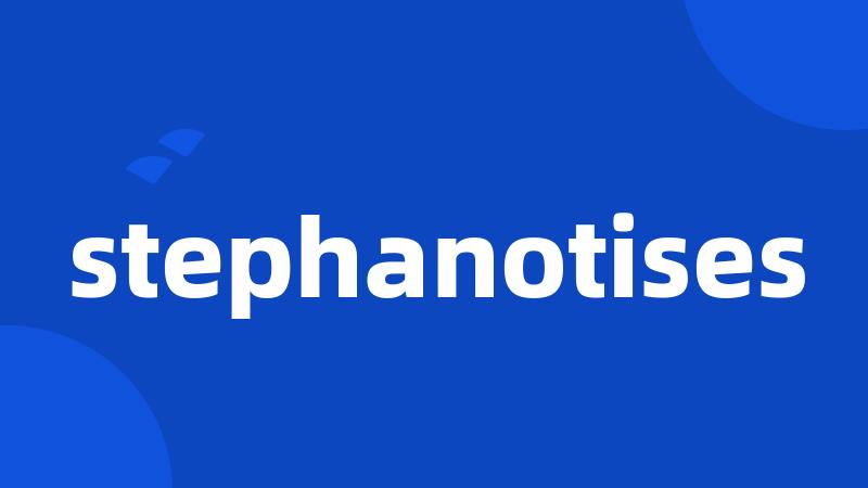 stephanotises