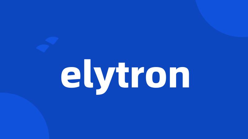 elytron