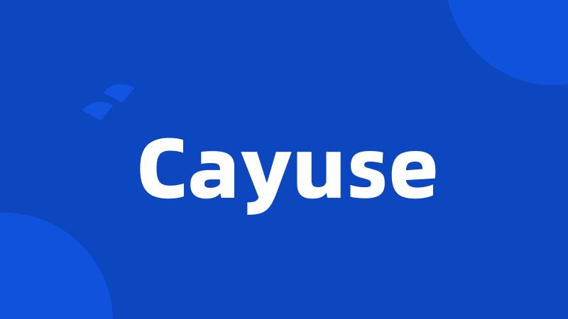 Cayuse