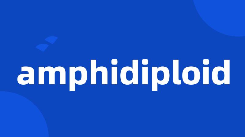 amphidiploid