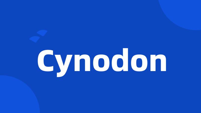 Cynodon