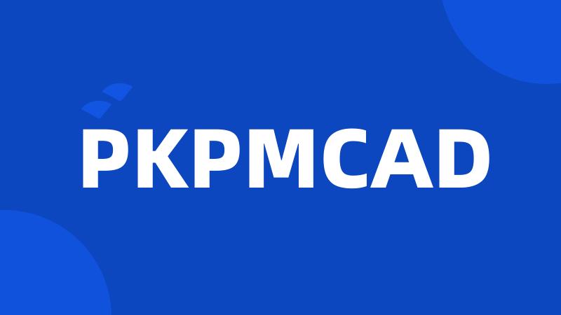 PKPMCAD