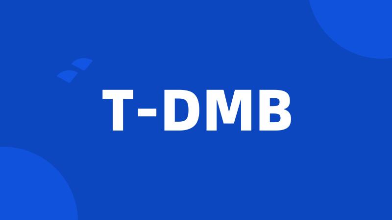 T-DMB