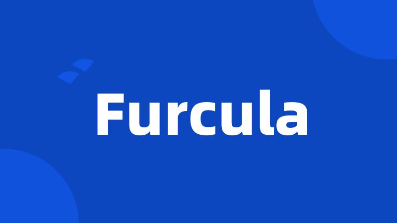 Furcula