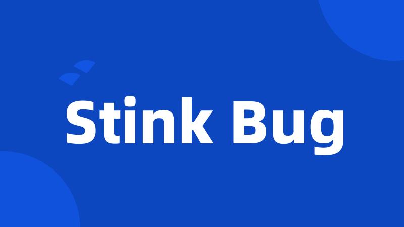 Stink Bug