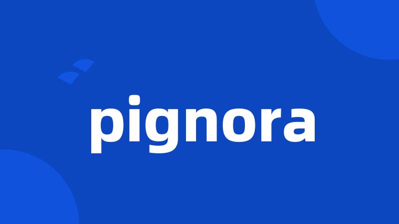 pignora