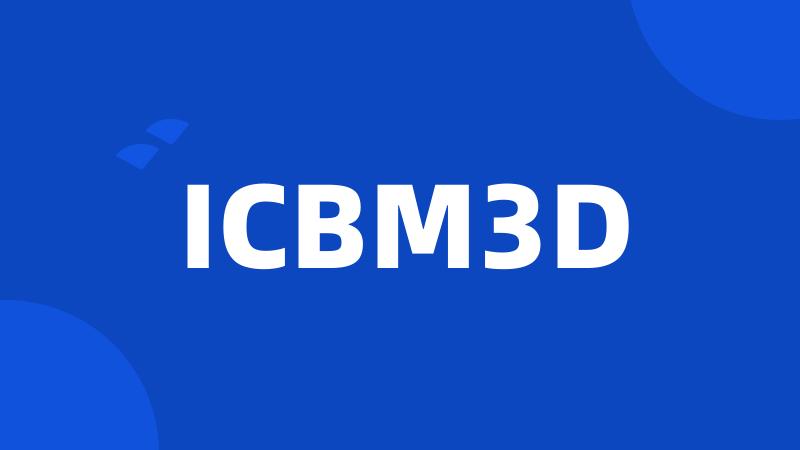 ICBM3D