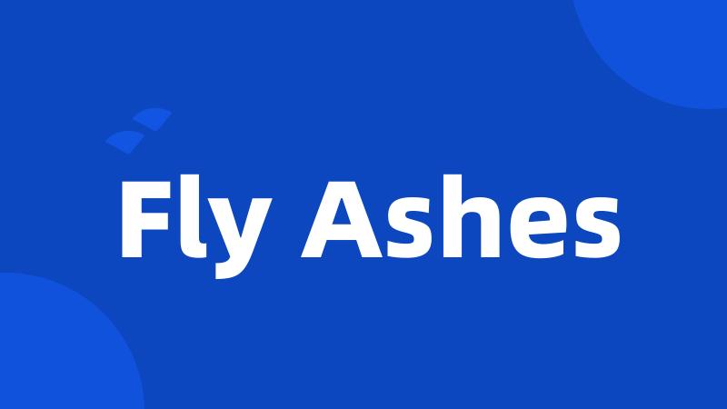 Fly Ashes