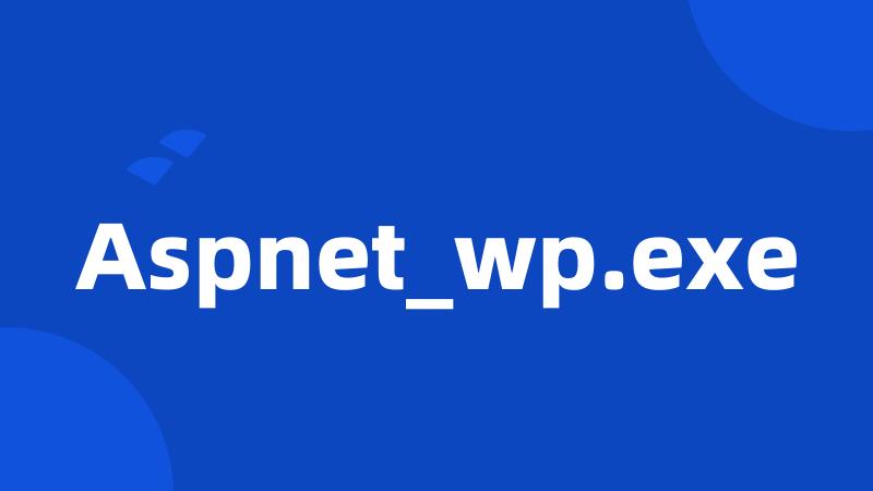 Aspnet_wp.exe