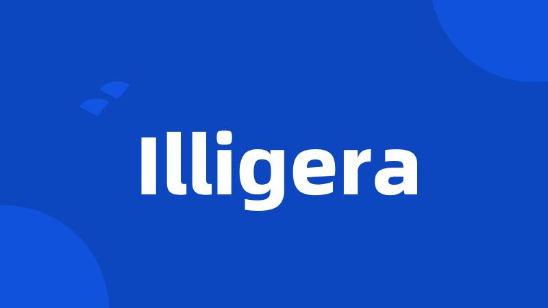 Illigera