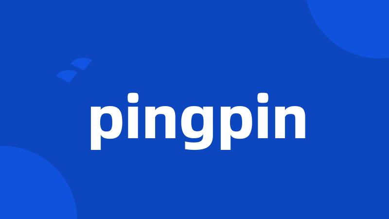 pingpin