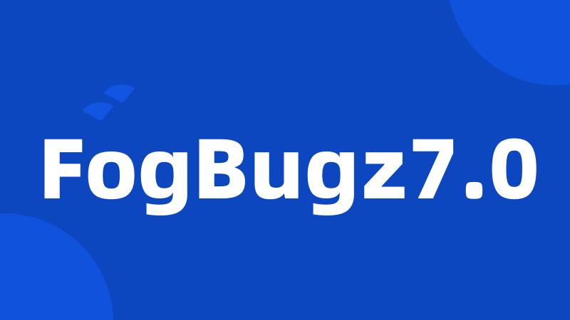 FogBugz7.0