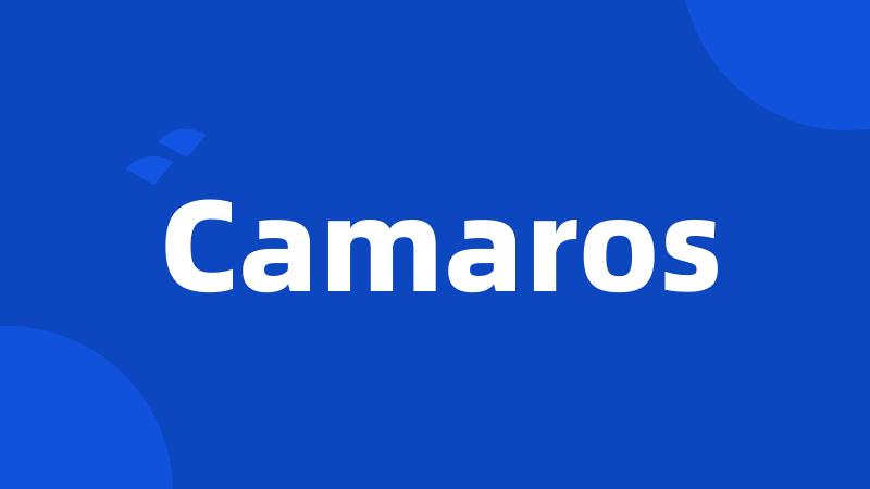 Camaros